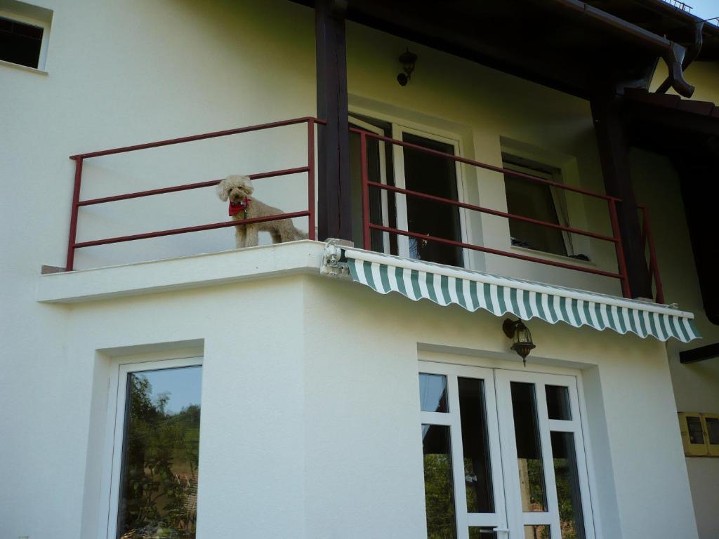 Pension Piatra Craiului Moieciu de Jos Exterior photo