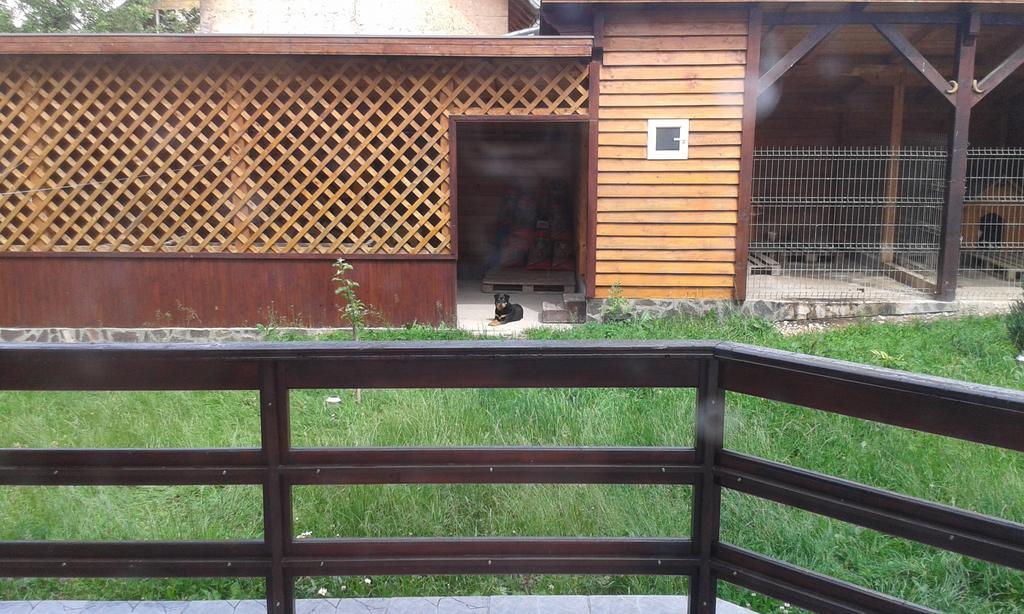Pension Piatra Craiului Moieciu de Jos Exterior photo