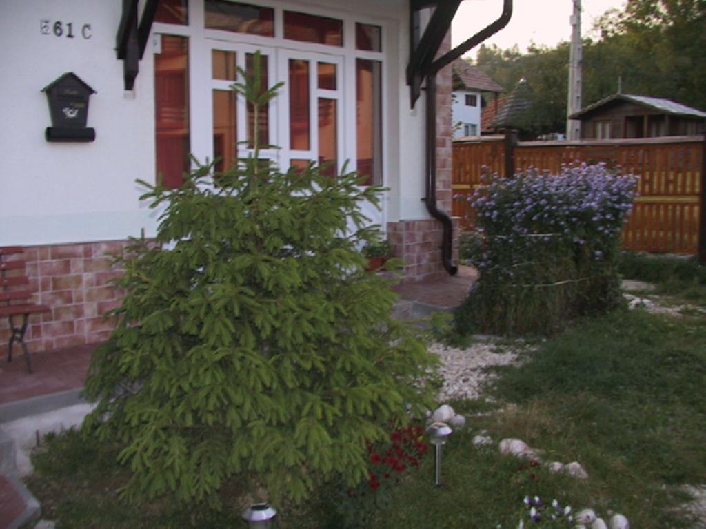 Pension Piatra Craiului Moieciu de Jos Exterior photo